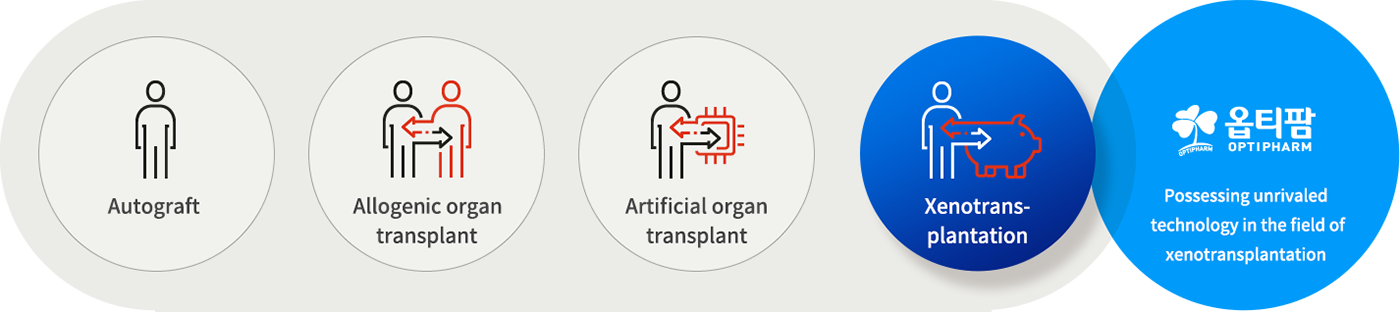 About Xenotransplantation